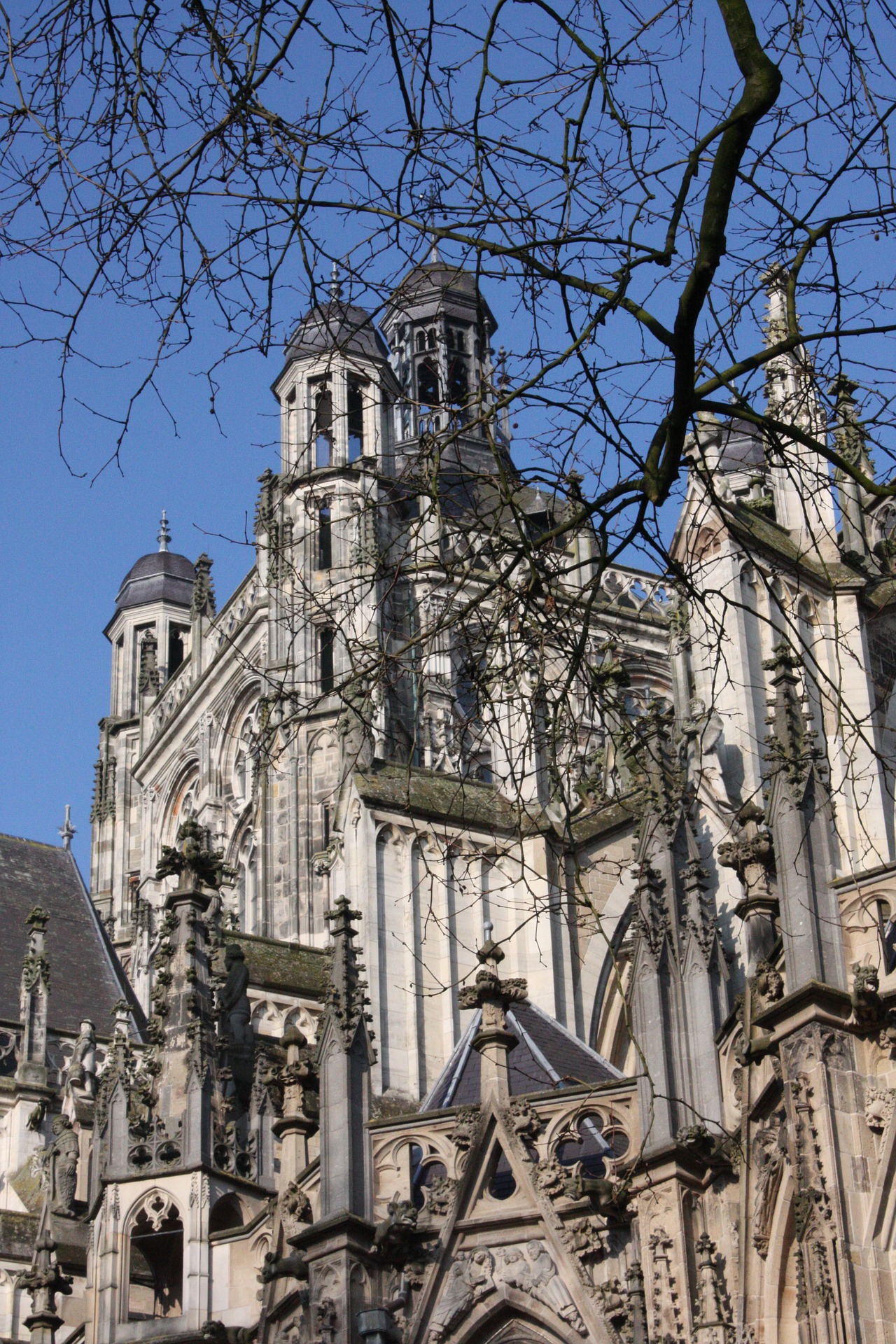 den-bosch-4559934_1920